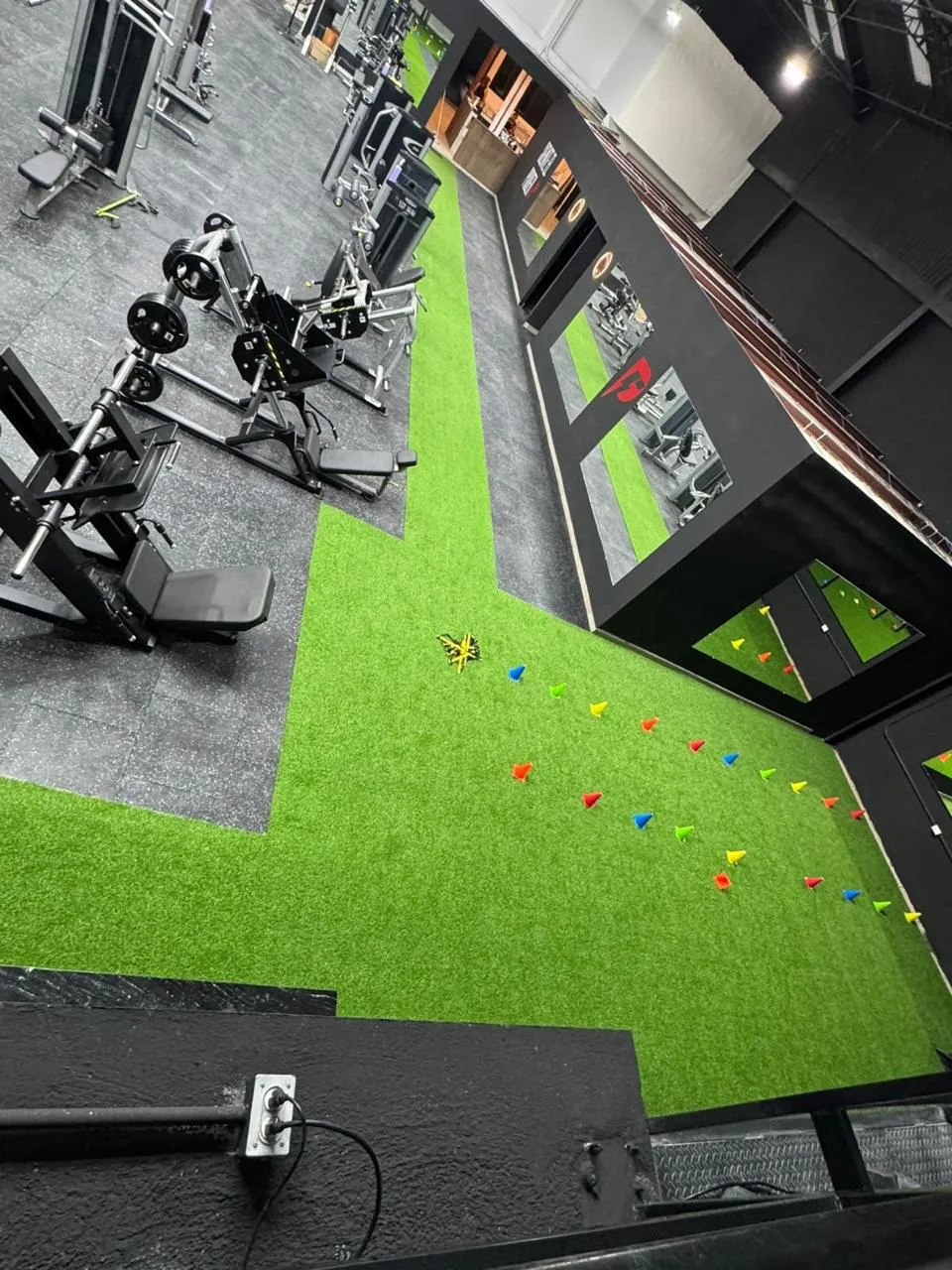 Gym functional zone with a synthetic turf strip beside rubber tile